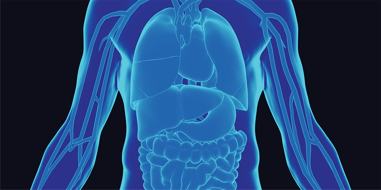 Blue human body graphic