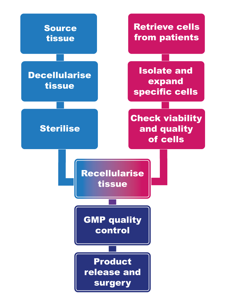 Videregen Our Technology Flowchart